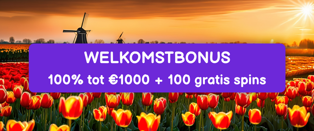 Koi Casino Nederland